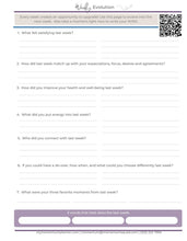 Load image into Gallery viewer, Undated |  Momentum 12 Week Planners | 4 Pack